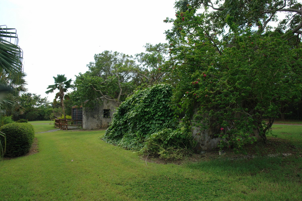    -       ,        -   - (St. Croix).